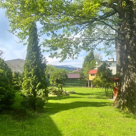 Meta Pod Debem Bielsko-Biala